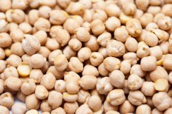 Background of chickpeas