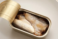 sardine can with open lid