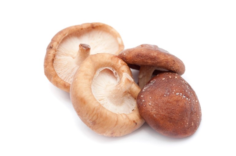Fresh shiitake mushrooms, a cultivated fungus considered a delicacy and consumed as a cooking ingredient and for its medicinal properties