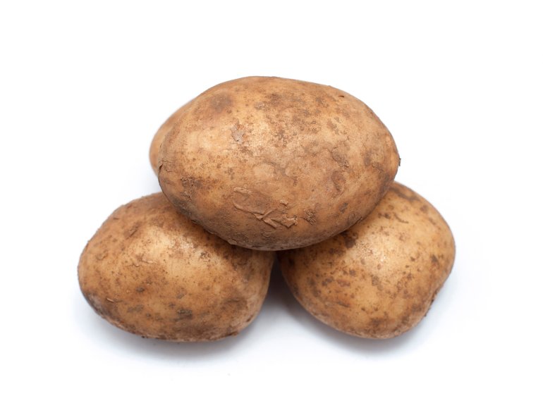 Three farm fresh unwashed potatoes, an important agricultural crop and ingredient in cooking
