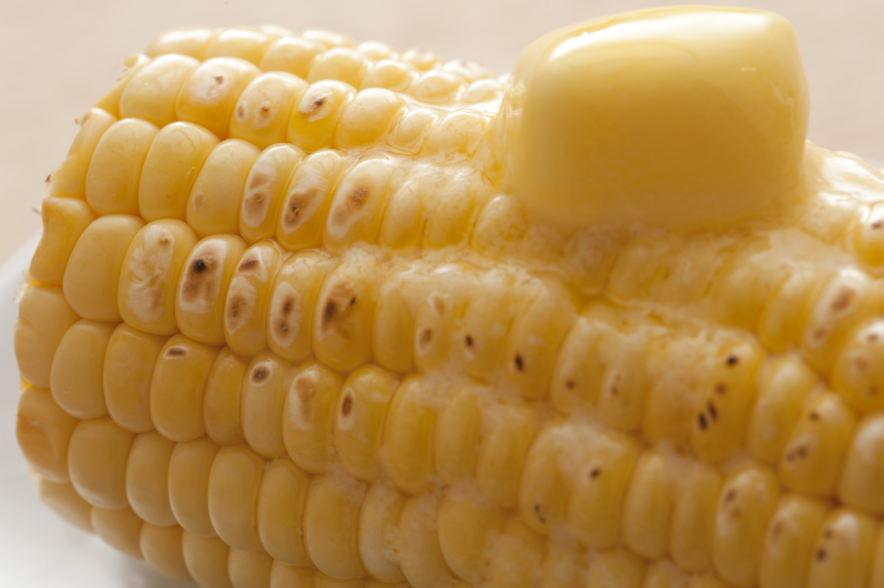 Cooked corncob with butter on top Free Stock Image