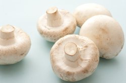 Five white mushrooms