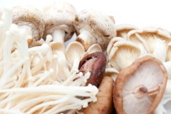 Enoki, shitake, oyster and agaric mushrooms