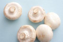 Five white cup mushrooms