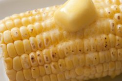 Close-up of one cooked corn-cob