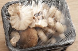 Prepacked mushrooms in a punnet