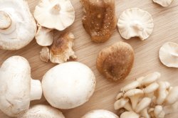 Selection of fresh raw mushrooms