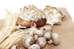 Selection of fresh mushrooms