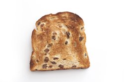 One roasted crusty slice of bread with raisin
