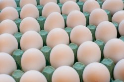 Cardboard carton of fresh eggs