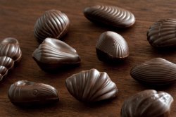 shell shaped dark chocolates