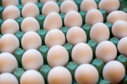 Carton of fresh farm eggs