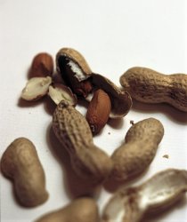 Fresh peanuts with their shells
