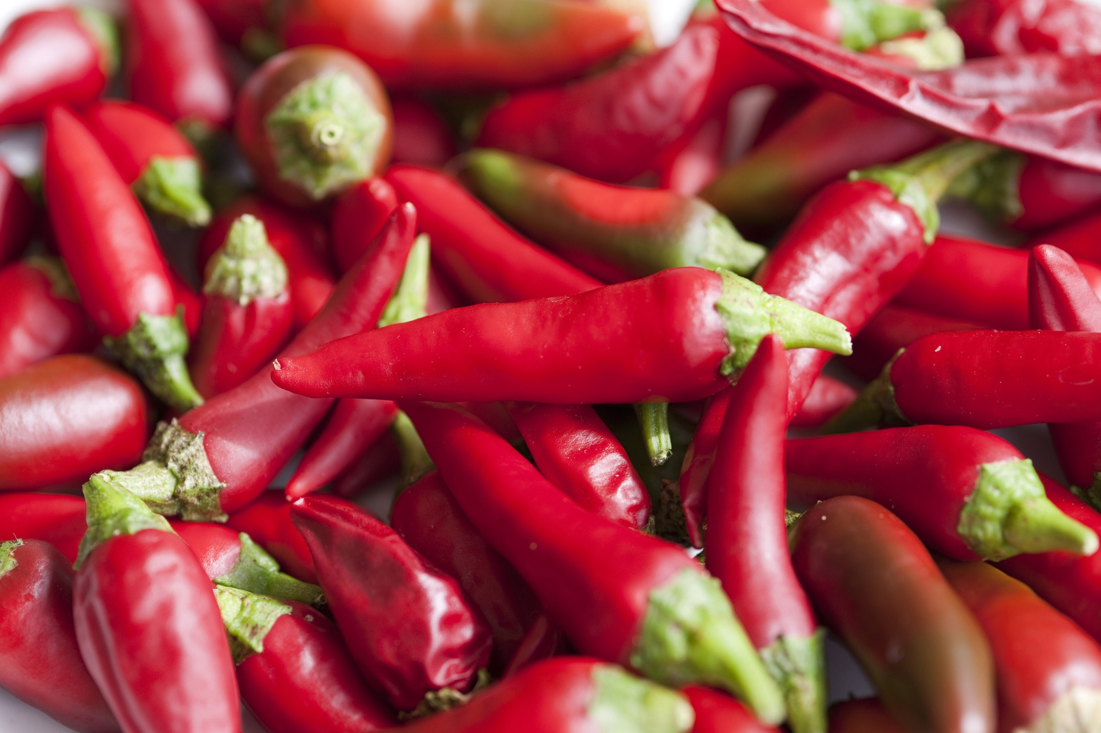 Background of red hot chili peppers Free Stock Image