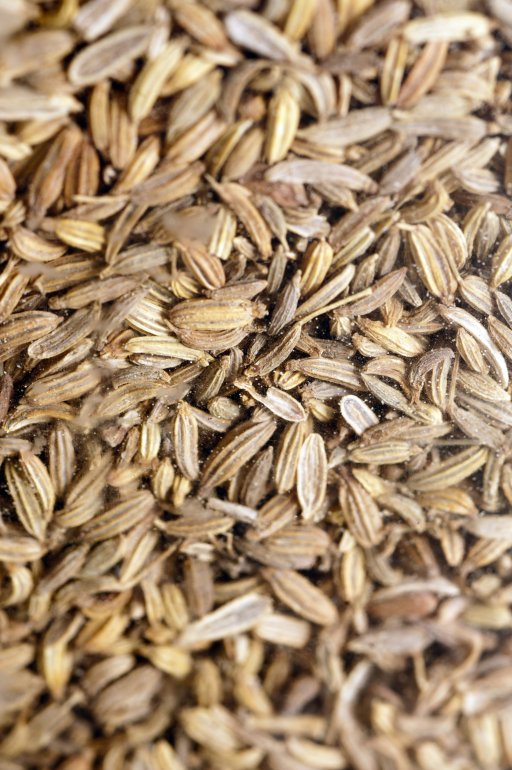 Background texture of dried caraway seeds Full frame background texture of dried aromatic caraway seeds for use as seasoning in cooking