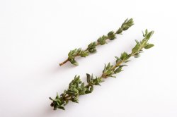 Close up of thyme sprigs on white background