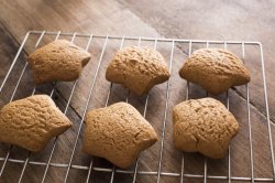 Freshly baked star shaped gingerbread cookies