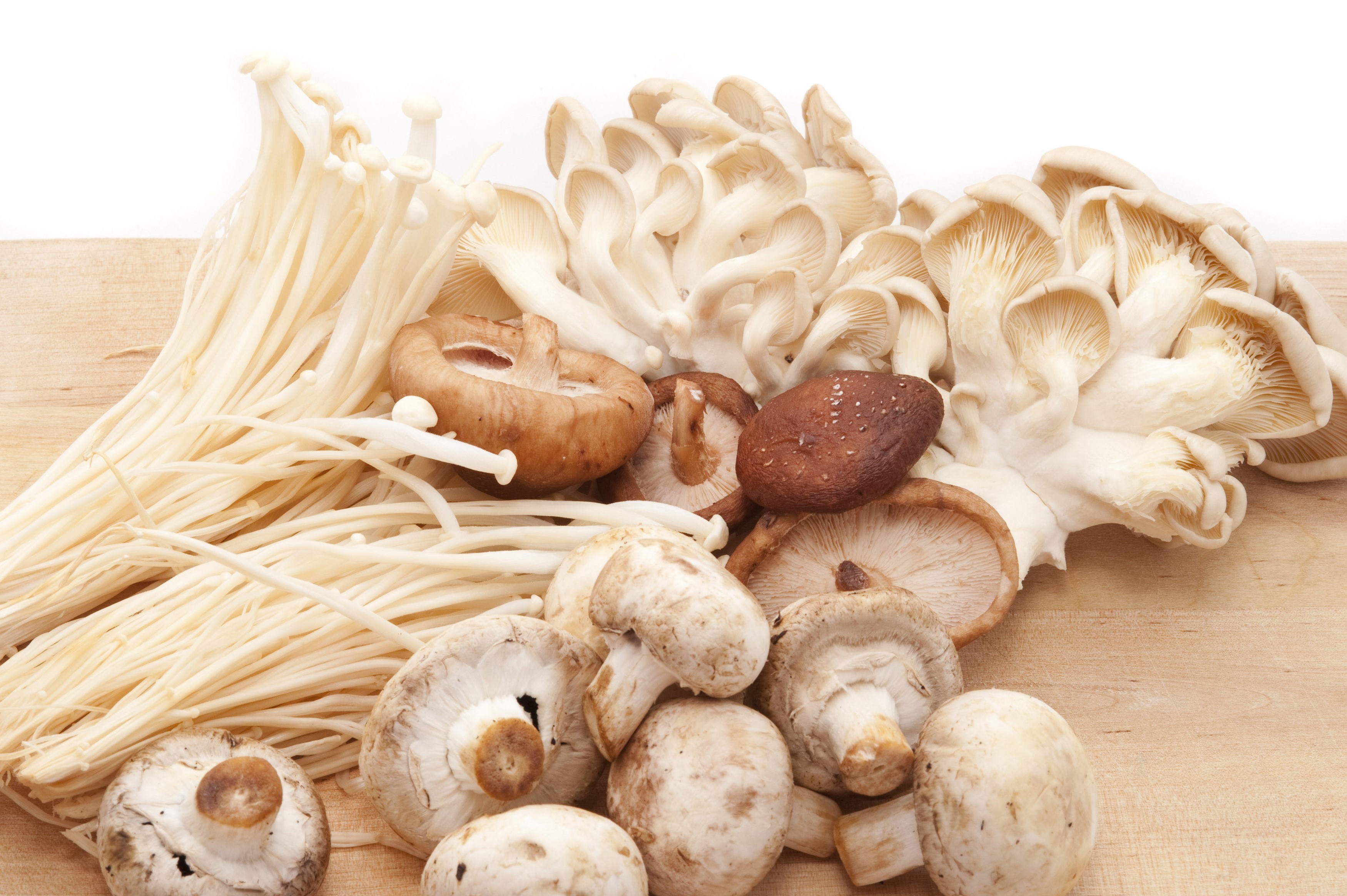Assorted fresh edible mushrooms Free Stock Image
