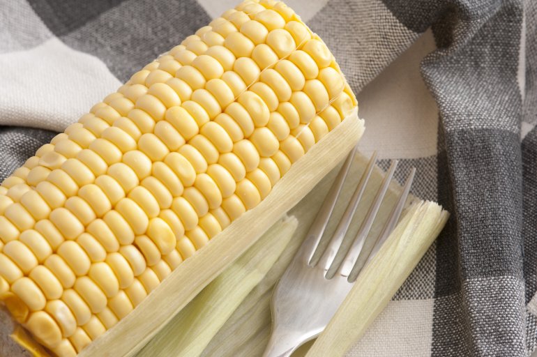 Uncooked sweet corn on the cob cut through at either end waiting to be boiled or grilled for a tasty snack or accompaniment to a meal