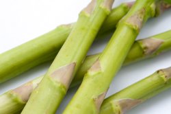 Close up of fresh asparagus shoots
