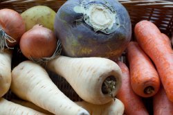 Collection of root vegetables