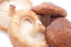 Fresh shitake mushrooms